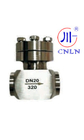 DN10-50 mm Wysokonciśnieniowy zawór kontrolny kryogeniczny z połączeniem końcowym SW