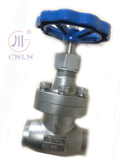 CNLN/Arman DJ61F-40P SS304/316 Kryogeniczny zawór kulkowy krótki typ A ((DN10-100mm) dla systemów LNG/LOX/LN2