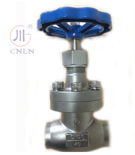 CNLN/Arman DJ61F-40P SS304/316 Kryogeniczny zawór kulkowy krótki typ A ((DN10-100mm) dla systemów LNG/LOX/LN2