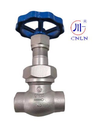 CNLN/Arman DJ61F-40P SS304/316 Kryogeniczny zawór kulkowy krótki typ C ((DN10-50mm) dla systemów LNG/LOX/LN2