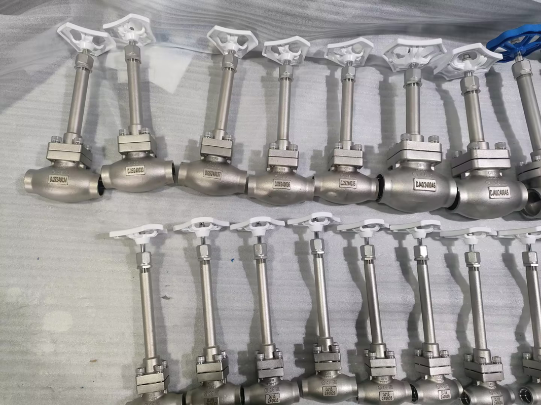 DN25 Kryogeniczny zawór kulkowy ze stali nierdzewnej 304/316 z uszczelnieniem z PTFE i nadwoziem zaworu CF8/CF3 dla temperatury od -196°C do +80°C